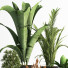 Blumentöpfe Indoor Set Plant 06 - nasrinrad