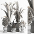 Blumentöpfe Indoor Set Plant 06 - nasrinrad