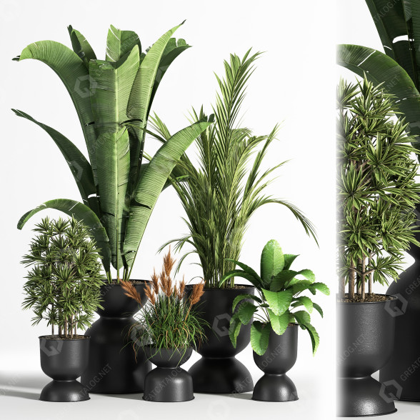 Blumentöpfe Indoor Set Plant 06 3D-Modell