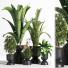 Blumentöpfe Indoor Set Plant 06 - nasrinrad