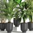 Blumentöpfe Indoor Set Plant 07 - nasrinrad