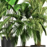 Blumentöpfe Indoor Set Plant 07 - nasrinrad