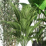 Blumentöpfe Indoor Set Plant 07 - nasrinrad