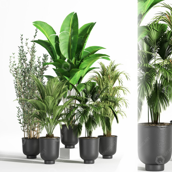 Blumentöpfe Indoor Set Plant 07 3D-Modell