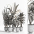 Blumentöpfe Indoor Set Plant 07 - nasrinrad