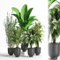 Blumentöpfe Indoor Set Plant 07 - nasrinrad