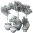 Pots de fleurs Plantes d'intérieur 191 - uniquevry