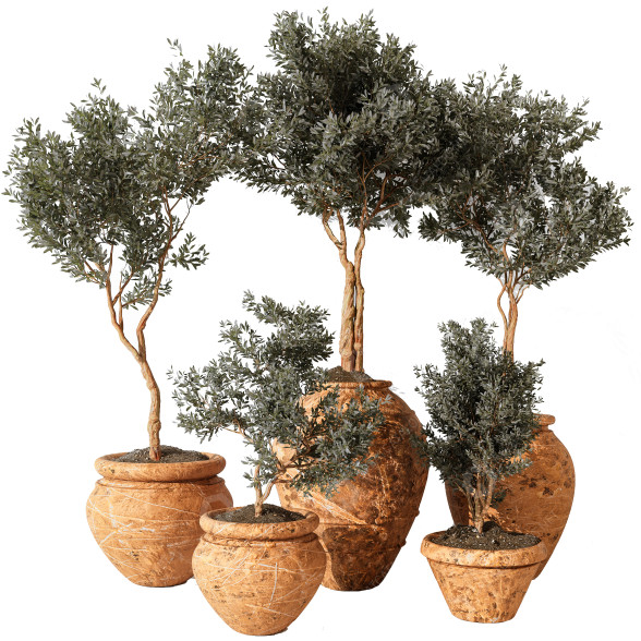 Pots de fleurs Plantes d'intérieur 191 modèle 3D