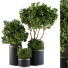 Flowerpots Indoor Plant Set 105 Black and Gold - CG design
