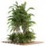 Drzewa i krzewy Garden Set Tropical - CG design