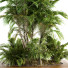Drzewa i krzewy Garden Set Tropical - CG design