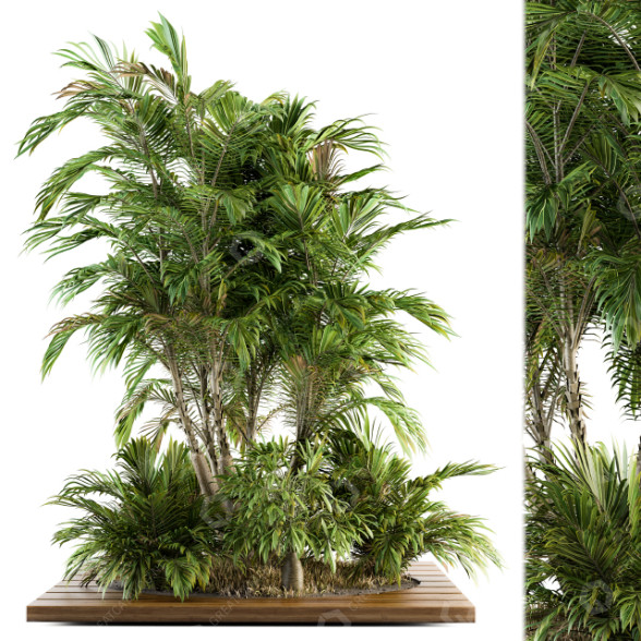 Drzewa i krzewy Garden Set Tropical model 3D