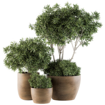 Flowerpots  Outdoor Plants in Concrete Pot Set 111 3D model