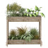 Macetas Planta en caja 164 - unisjamavari