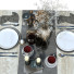 Servierter Tisch Set 160 - unisjamavari