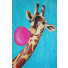 Bilder Wall Frame - qeem