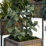 Macetas Planta en caja 190 - unisjamavari
