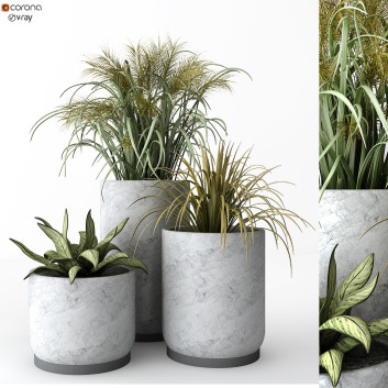 Doniczki  Plant in Box Set 170 Model 3D