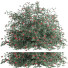 Krzak Outdoor Plant 005 - Mrym.3dmodel