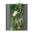 Green Wall Set 169 - unisjamavari