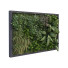 Pared verde Conjunto 175 - unisjamavari