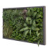 Pared verde Conjunto 175 - unisjamavari