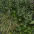 Pared verde Conjunto 175 - unisjamavari