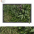 Pared verde Conjunto 175 - unisjamavari