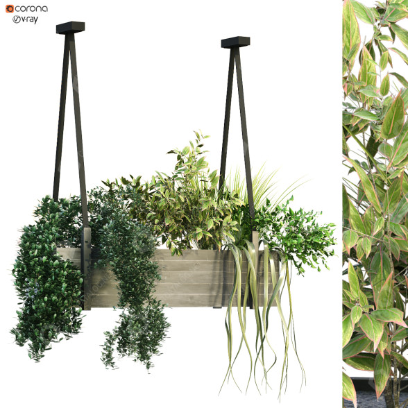 Maceta Planta en caja conjunto 197 Modelo 3D