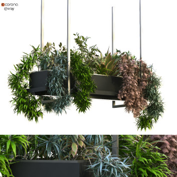 Maceta  Planta en caja conjunto 195 Modelo 3D