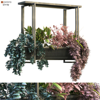 Maceta  Planta en caja conjunto 196 Modelo 3D