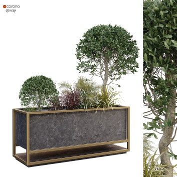 Maceta  Planta en caja conjunto 175 Modelo 3D