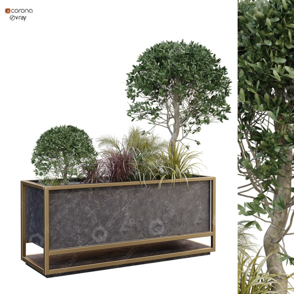 Maceta Planta en caja conjunto 175 Modelo 3D