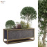 Maceta Planta en caja conjunto 175 - unisjamavari
