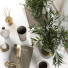 Decoración Set 17 - moyarahmadi1