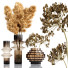 Vasen und Pflanzen Set Bouquets Pampas - bahartanhaee