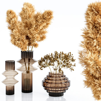Вази та рослини Set Bouquets Pampas