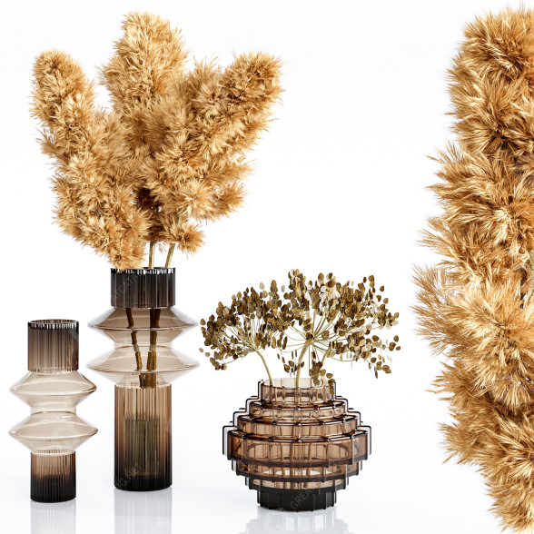 Vasen und Pflanzen Set Bouquets Pampas 3D-Modell