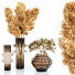Vasen und Pflanzen Set Bouquets Pampas - bahartanhaee