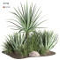 Buissons Plante en extérieur 003 aloe vera agave macdougalii - Mrym.3dmodel
