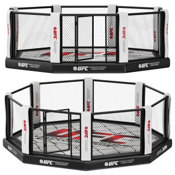 MMA Octagon