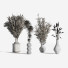 Vasen und Pflanzen Set Bouquets - nasrinrad