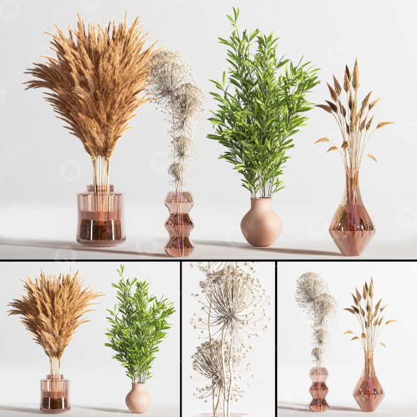 Vasen und Pflanzen Set Bouquets 3D-Modell