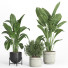Flowerpots Indoor Plant Set 39 Concrete and Metal Pot - nr.asgari
