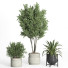 Flowerpots Indoor Plant Set 39 Concrete and Metal Pot - nr.asgari