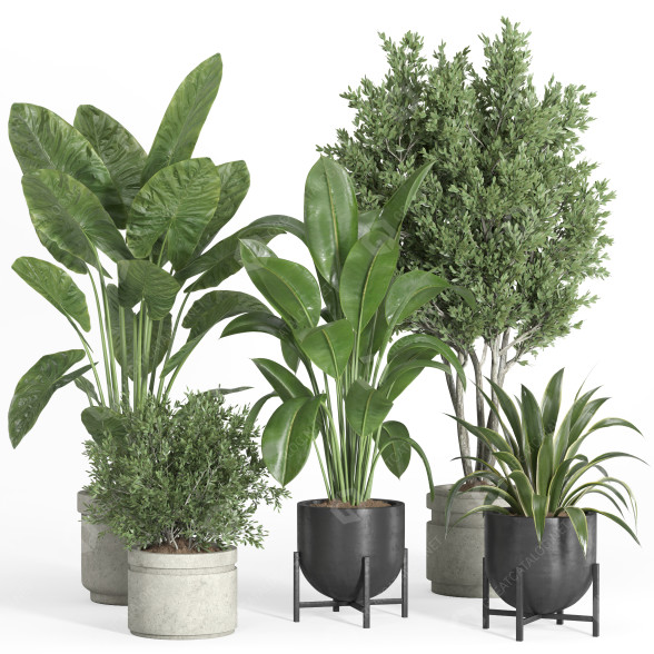 Flowerpots Indoor Plant Set 39 Concrete and Metal Pot 3D model