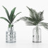 Vasen und Pflanzen Collection 6 - srhtyucel