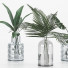Vasen und Pflanzen Collection 6 - srhtyucel