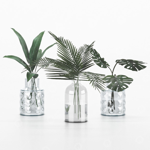 Vasen und Pflanzen Collection 6 3D-Modell
