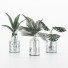 Vasen und Pflanzen Collection 6 - srhtyucel